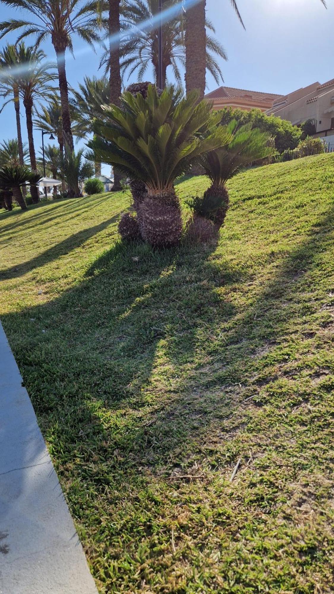 Torres Del Sol Luxury Las Americas Playa de las Americas  Exterior photo
